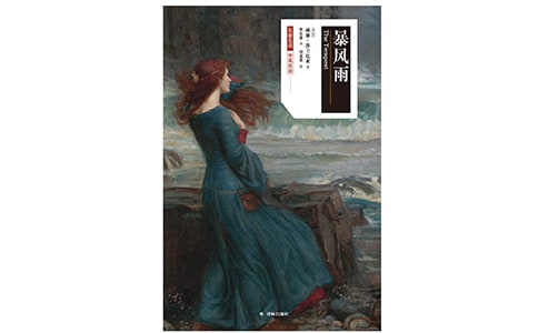 描写暴风雨的爱情散文随笔3篇