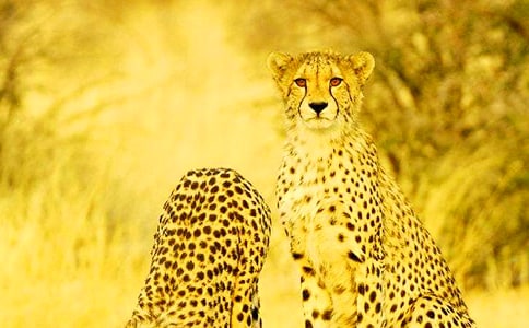 ���Ǳ������ģ�ͨ��9ƪ��