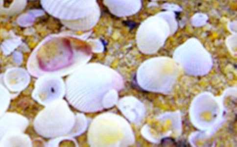 ��ʵ�á����ڱ��ǵ�����15ƪ