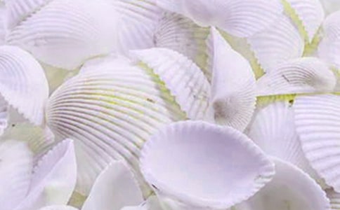 �������¹��µ���ֻ����ɢ��