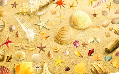 �񱴿�������ƪ