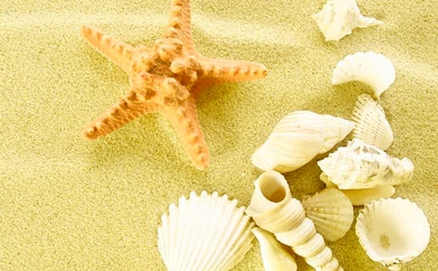 �񱴿�����