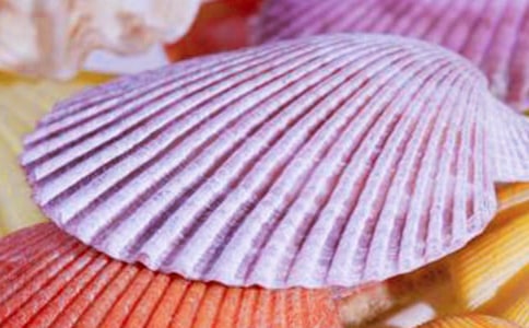 那黯然失色的贝壳叙事作文