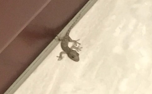 С�ڻ���β�ͽ̰�15ƪ