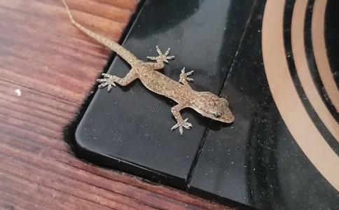 ��С�ڻ���β�͡��̰����