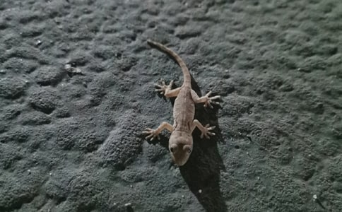 ��С�ڻ���β�͡��̰�