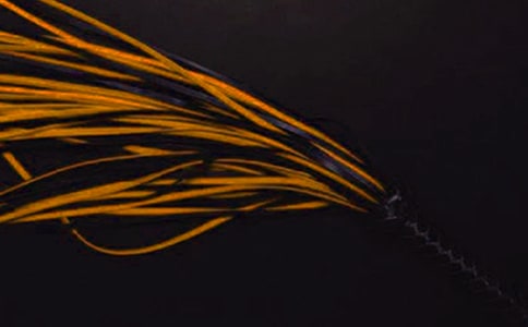 ĸ�׵ı���Сѧ�����ģ�ͨ��20ƪ��