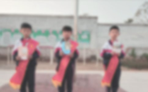 街道召开2010年新兵入伍欢送暨征兵工作总结表彰大会