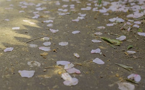 ���ڱ���������