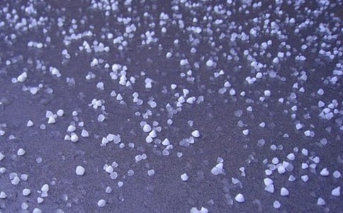 ����Сѧ����