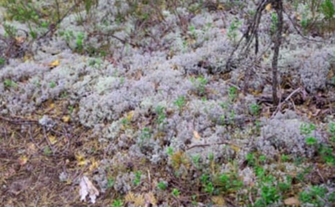 ��������-д������600��