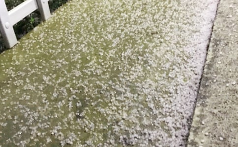 ���ڱ���������