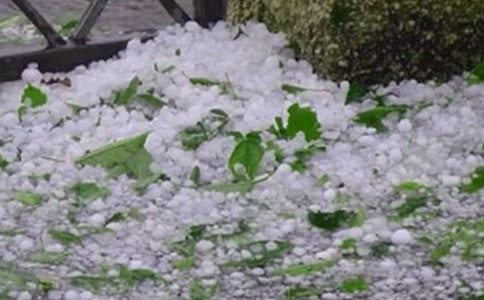 �±��������ģ�ͨ��37ƪ��