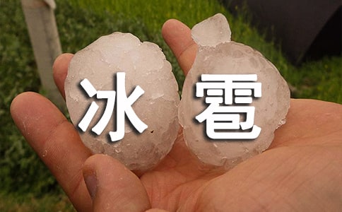 ���ڱ��������ķ���