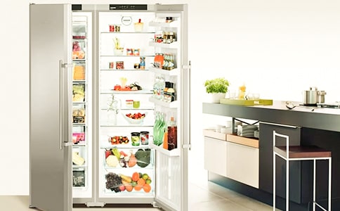 电冰箱的自述作文 我家的冰箱