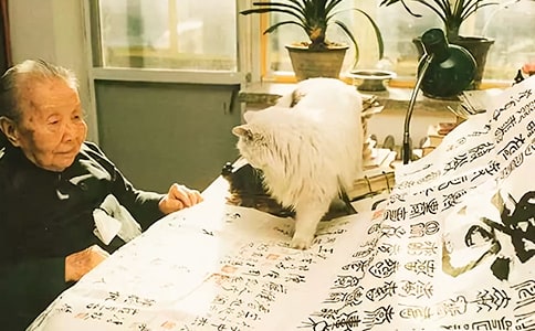 ����ɢ�Ķ����