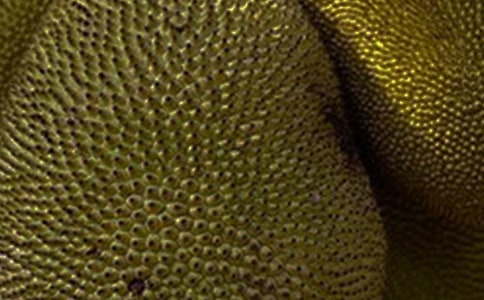 ����������15ƪ����ѡ��