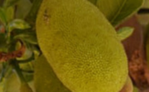 �����۵Ĺ�Ч������