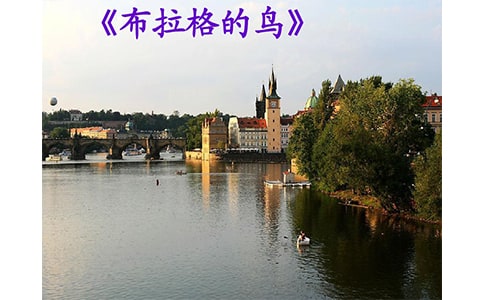 ����������񡷶���ʼ�