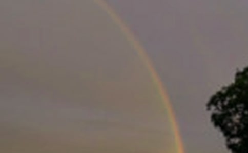 �а��������ʺ硷�̰�