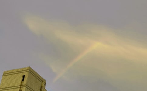 ���еĲʺ�15ƪ(��)