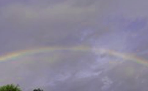 中班美术彩虹教案9篇