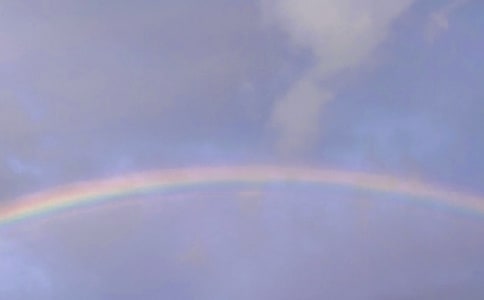 中班体育优质课教案《跳越彩虹》