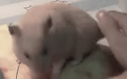 �۲�����ռ�[���10ƪ]