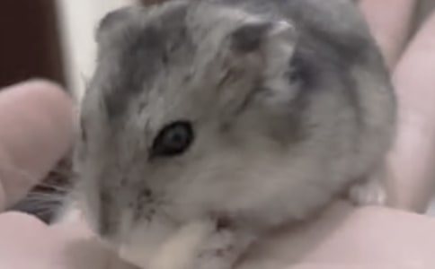 С��������7ƪ[�ر�]