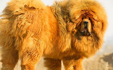 �����ᴴҵ�¸��Ļ����ѧ��