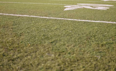 (推荐)美丽的操场作文