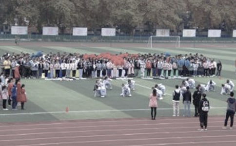 春天的操场作文