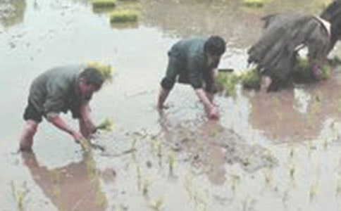 ʵ�õĲ�������400��