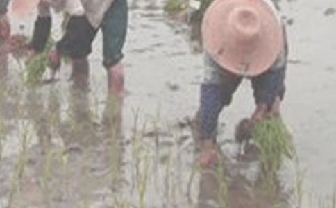 �����ؽ��ƹ����������һ������������ץ