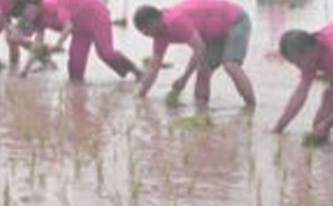 �����������Ľ�ѧ��˼����