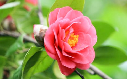 ��д�軨�ľ���(7ƪ)