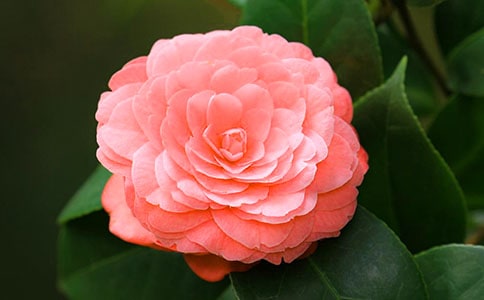 �軨����300��[ʵ��]