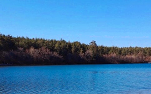 长白山游记的作文(精选33篇)