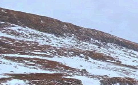 ����ɽ�������600��