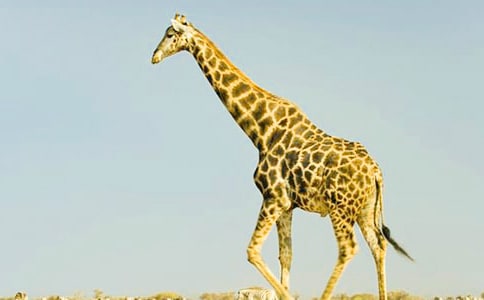 �а����������¹�̰�