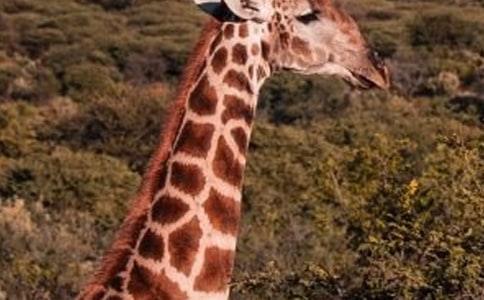 ���ڳ���¹��'����