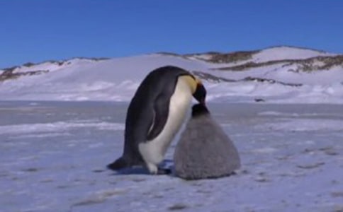 ��Խ�����İ�����300��