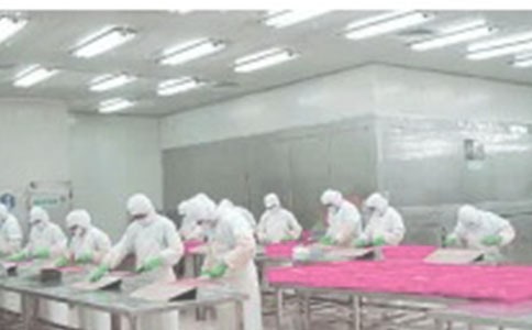 ����Ա�������ܽ᷶��