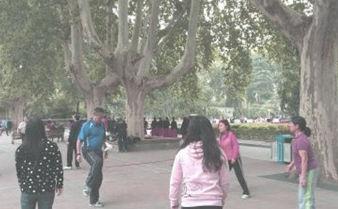 ���ڳ���������