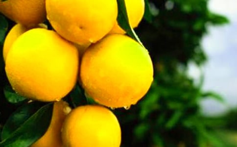 �������ķ���