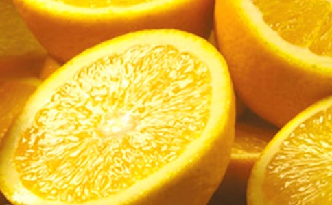 橙子历险记作文