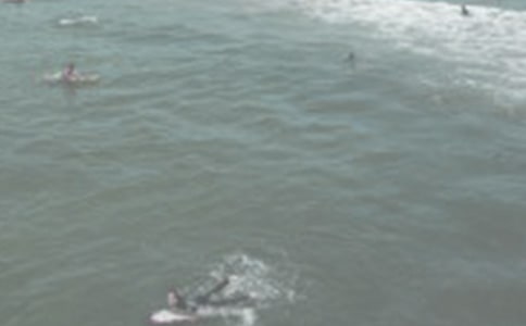 关于冲浪的作文500字(精选48篇)