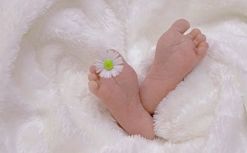 ���������������̵�����Щ?