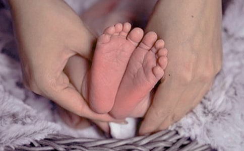 ��ѧ���ݵĳ����̰�