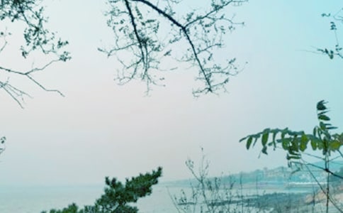 关于风的作文:春风里